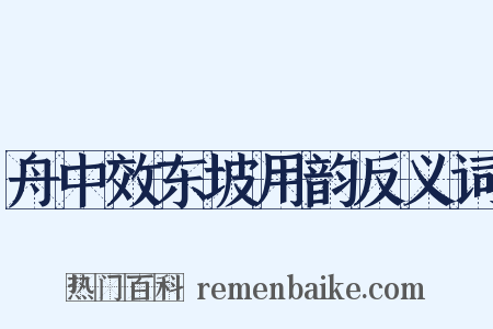 舟中效东坡用韵反义词是什么意思的图片